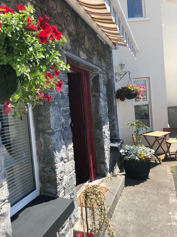 Amber Hill Acomodação com café da manhã Galway Exterior foto